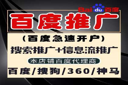 某品牌通过SEM优化公司实现品牌曝光飞跃
